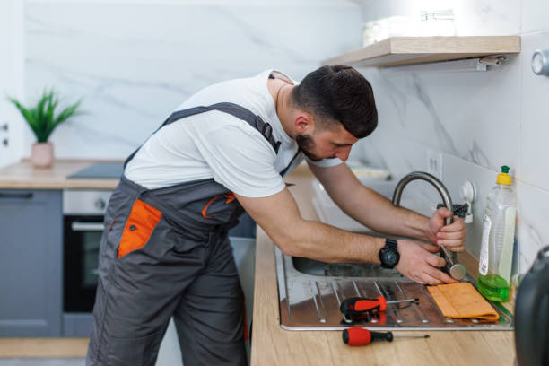 Best Plumbing Inspection Services  in Parkville, MO